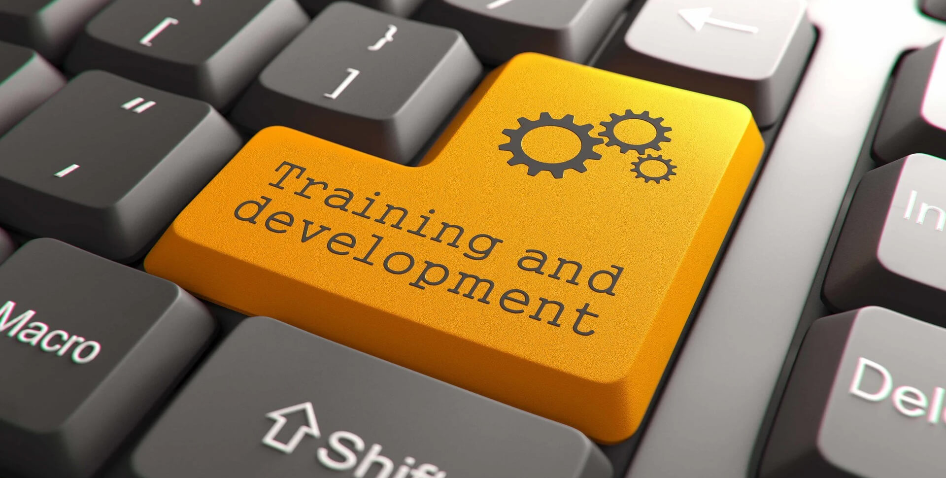 training and development